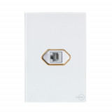 Cj Entrada Rj45 4x2 - Novara Glass Branco Gold 